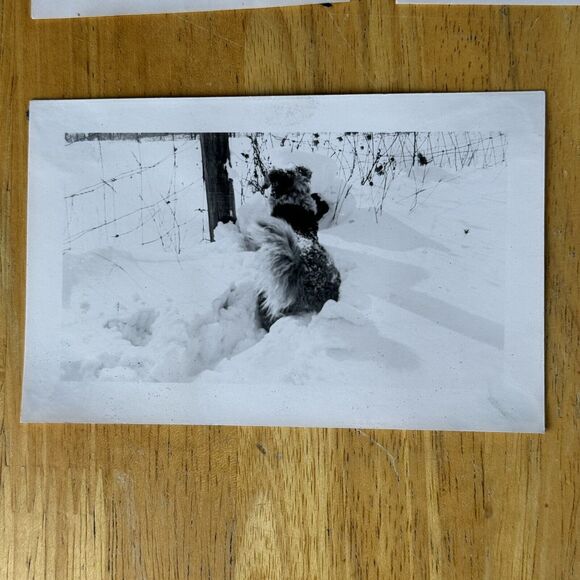 1940 Photos x6 Winter Snow Storm Charter Oak Clubhouse Greenbrier Rd Gopher Film - Picture 7 of 9